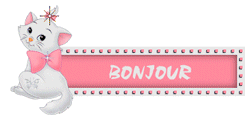 Gif animé bonjour